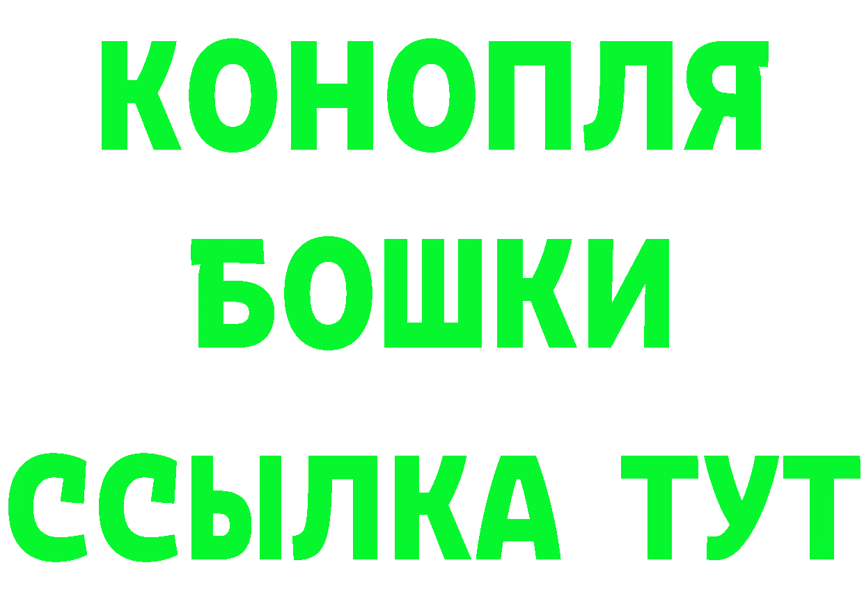 ТГК концентрат вход площадка MEGA Опочка